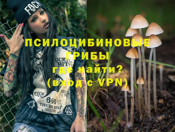 МДПВ Алексин