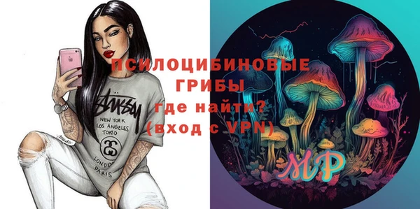 МДПВ Алексин